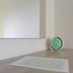 Feel