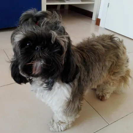 Feel فندق مبيت وإفطار