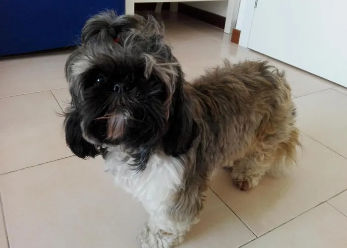 Feel 住宿加早餐酒店